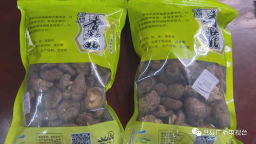 我为农产品代言 彭店乡蘑菇，舌尖上的营养之选