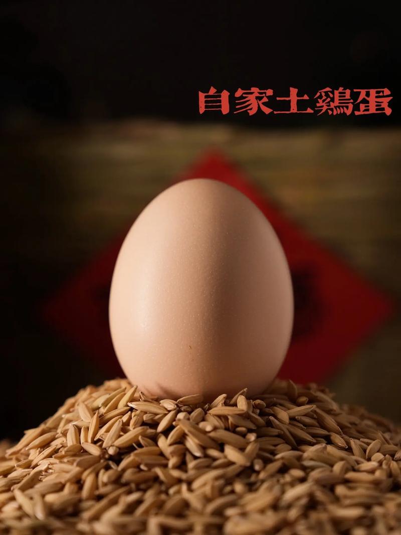 土鸡蛋来了!童年的味道回来了!图中为自家鸡场的土鸡蛋,龙华地