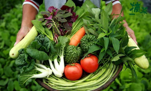 二师兄“身价”逆势上扬 农产品中的涨价明星与下半年走势展望