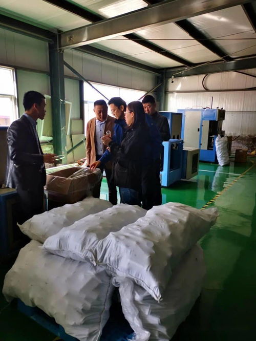 盒马鲜生管理团队探访张掖现代农业基地，共商“二师兄”农产品合作新篇章