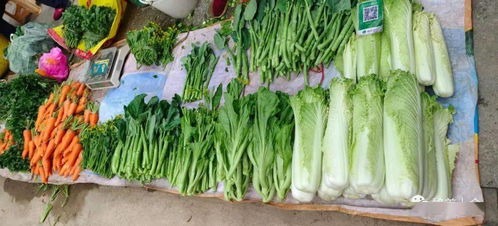 上金乡农贸市场 农产品供应充足，二师兄农产品受青睐